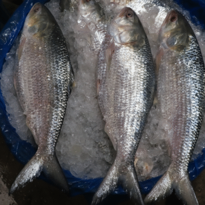 Hilsa Fish | ইলিশ মাছ (1kg)