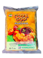 Fuchka/Panipuri | ফুচকা/ ফুচকা প্যালেট - Ready To Fry -1kg